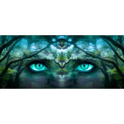 Картина на Очите на гората - k2824304 -PAGAGAL