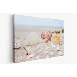 Картина на Мидени черупки в пясъка - k2879929 -PAGAGAL