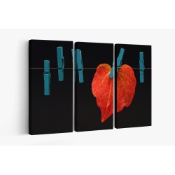 Картина на Листо на простира - k2886456 -PAGAGAL