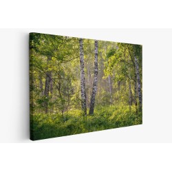 Картина на Брези в гората - k2913409 -PAGAGAL