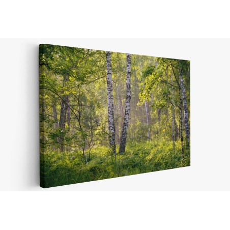 Картина на Брези в гората - k2913409 -PAGAGAL