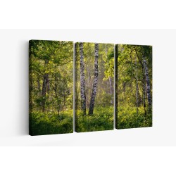 Картина на Брези в гората - k2913409 -PAGAGAL
