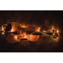 Картина на Класическа цигулка - k2921485 -PAGAGAL