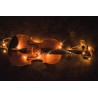 Картина на Класическа цигулка - k2921485 -PAGAGAL