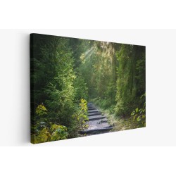 Картина на Пътека в гората - k2942477 -PAGAGAL