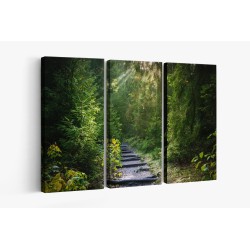 Картина на Пътека в гората - k2942477 -PAGAGAL