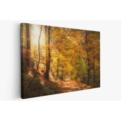 Картина на Есенна пътека - k2942492 -PAGAGAL