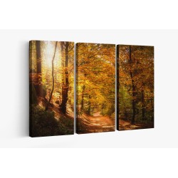 Картина на Есенна пътека - k2942492 -PAGAGAL