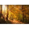Картина на Есенна пътека - k2942492 -PAGAGAL