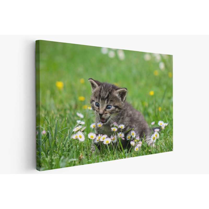 Картина на Коте и цветя - k2948404 -PAGAGAL Картина на Коте и цветя - k2948404 -PAGAGAL