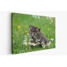 Картина на Коте и цветя - k2948404 -PAGAGAL