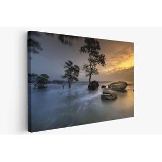 Картина на Крайбрежно утро - k3058774 -PAGAGAL