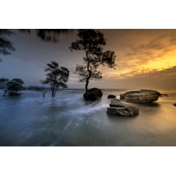 Картина на Крайбрежно утро - k3058774 -PAGAGAL