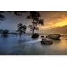 Картина на Крайбрежно утро - k3058774 -PAGAGAL