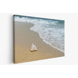 Картина на Раковина на плажа - k3062011 -PAGAGAL