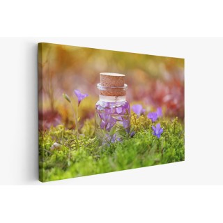 Картина на Шишенце и горски цветя- k3102305 -PAGAGAL