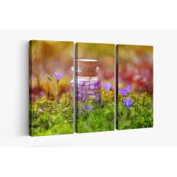 Картина на Шишенце и горски цветя- k3102305 -PAGAGAL