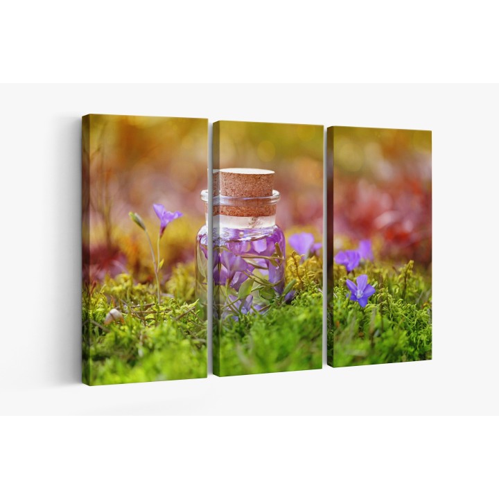 Картина на Шишенце и горски цветя- k3102305 -PAGAGAL