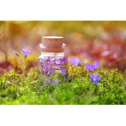 Картина на Шишенце и горски цветя- k3102305 -PAGAGAL