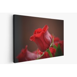 Картина на Червена роза - k3115353 -PAGAGAL
