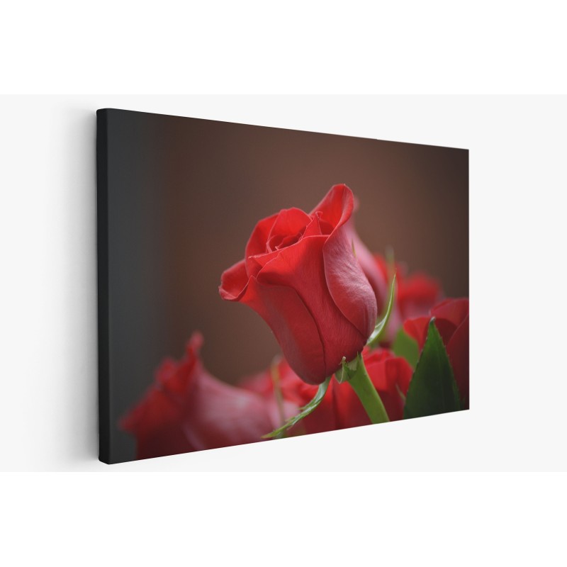 Картина на Червена роза - k3115353 -PAGAGAL Картина на Червена роза - k3115353 -PAGAGAL