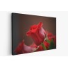 Картина на Червена роза - k3115353 -PAGAGAL