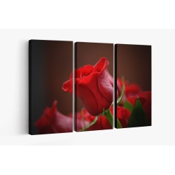 Картина на Червена роза - k3115353 -PAGAGAL