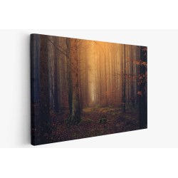 Картина на Борова гора в мъглявина - k31198261 -PAGAGAL