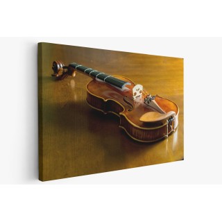 Картина на Класическа цигулка - k3131120 -PAGAGAL