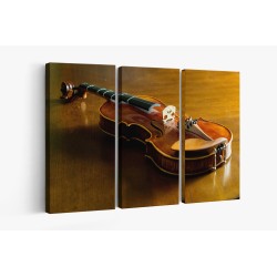 Картина на Класическа цигулка - k3131120 -PAGAGAL