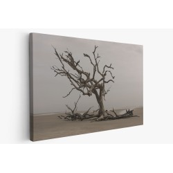 Картина на Дърво на брега - k3137482 -PAGAGAL