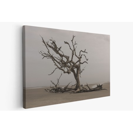 Картина на Дърво на брега - k3137482 -PAGAGAL