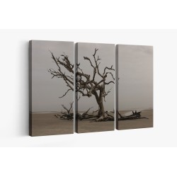 Картина на Дърво на брега - k3137482 -PAGAGAL