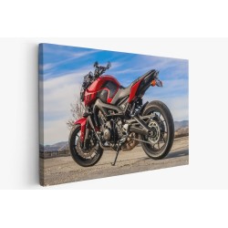 Картина на Мотоциклет YAMAHA FZ-09 - k3147278 -PAGAGAL
