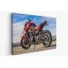 Картина на Мотоциклет YAMAHA FZ-09 - k3147278 -PAGAGAL