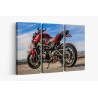 Картина на Мотоциклет YAMAHA FZ-09 - k3147278 -PAGAGAL