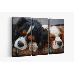 Картина на Спящи кученца - k3178739 -PAGAGAL