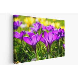 Картина на Лилави минзухари - k318293 -PAGAGAL