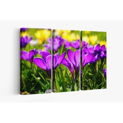 Картина на Лилави минзухари - k318293 -PAGAGAL