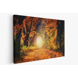 Картина на Красива есенна картина - k3186876 -PAGAGAL