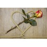 Картина на Въжено сърце и роза - k3198626 -PAGAGAL