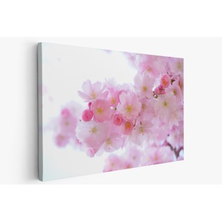 Картина на Вишневи цветчета - k324175 -PAGAGAL