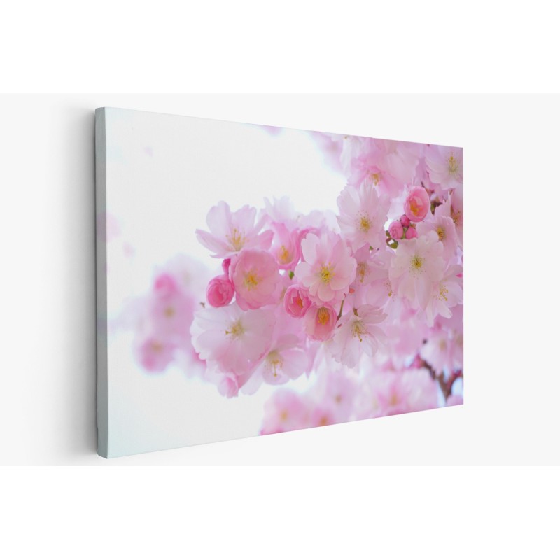 Картина на Вишневи цветчета - k324175 -PAGAGAL Картина на Вишневи цветчета - k324175 -PAGAGAL