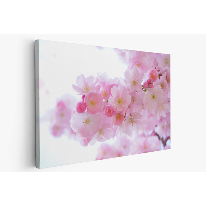 Картина на Вишневи цветчета - k324175 -PAGAGAL