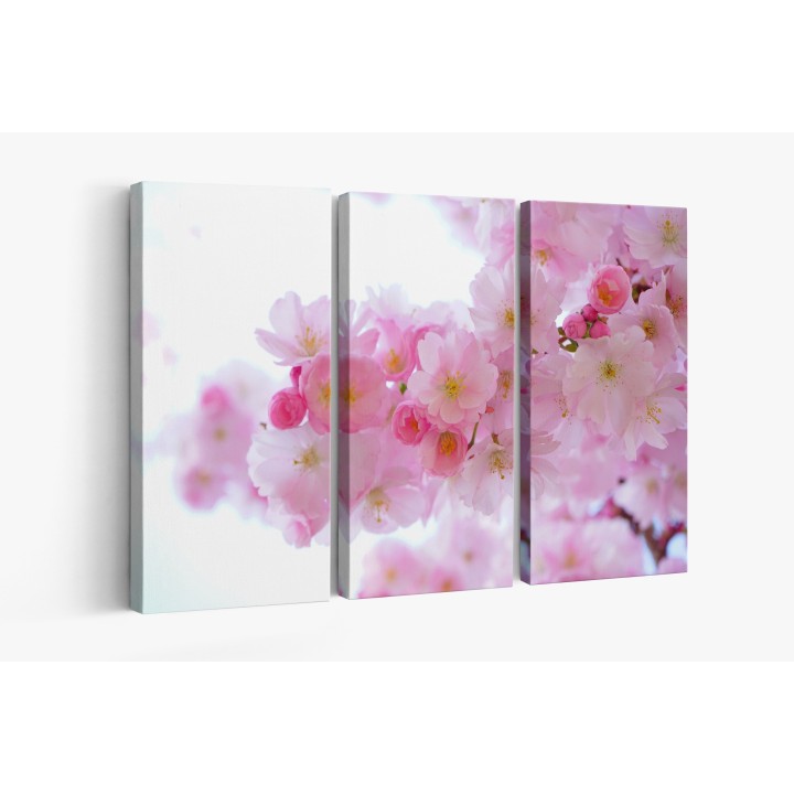Картина на Вишневи цветчета - k324175 -PAGAGAL