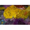 Картина на Цветен хаос - k3314844 -PAGAGAL