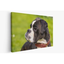 Картина на Картина - k3355192 -PAGAGAL