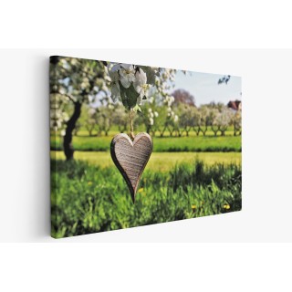 Картина на Картина - k3355416 -PAGAGAL