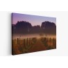 Картина на Картина - k3356478 -PAGAGAL