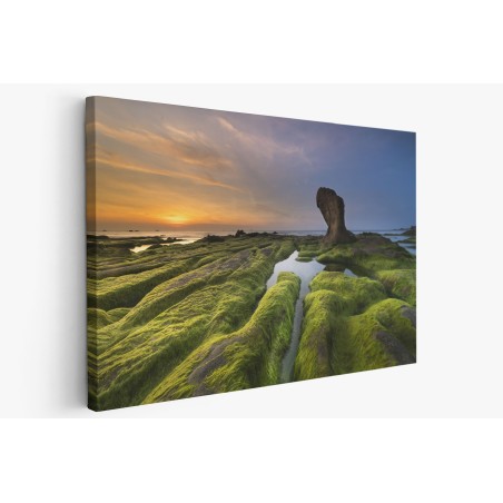 Картина на Картина - k3358817 -PAGAGAL